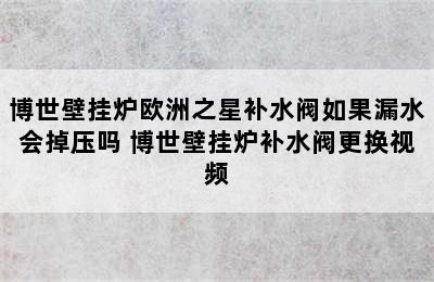 博世壁挂炉欧洲之星补水阀如果漏水会掉压吗 博世壁挂炉补水阀更换视频